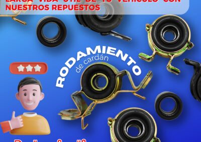 roda2