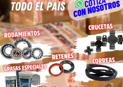 roda5