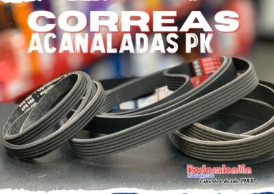roda8